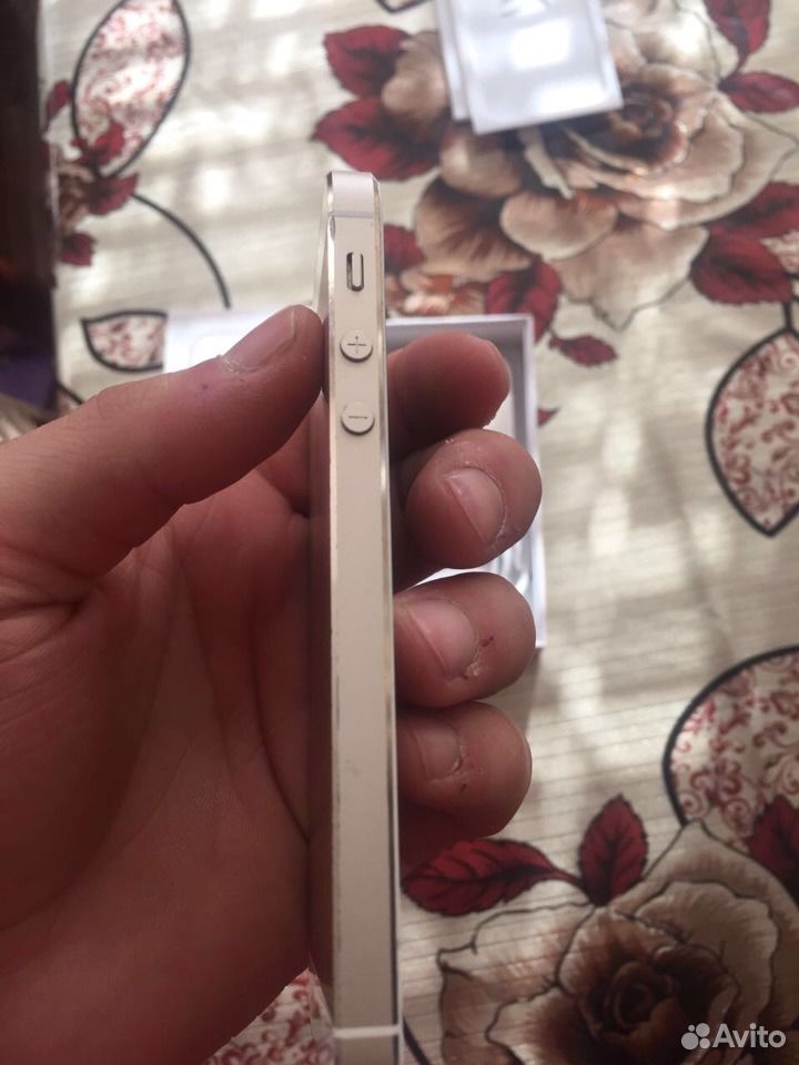 iPhone 5S