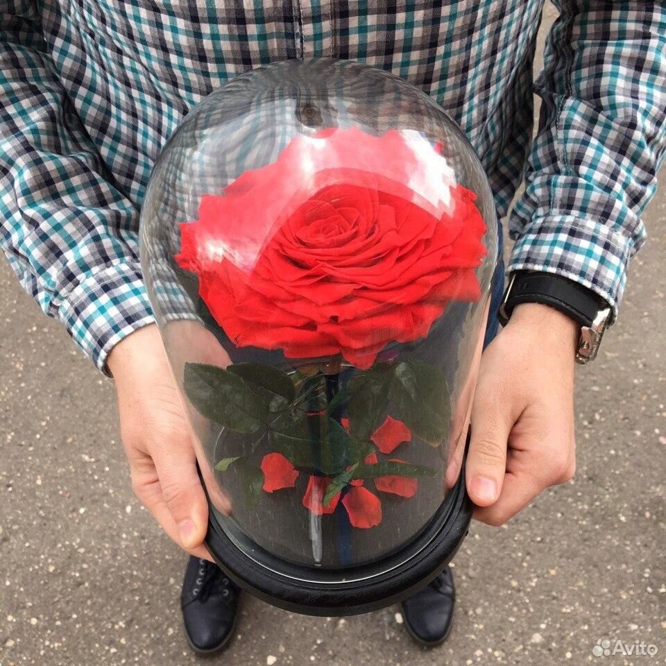 Колба а в ней роза (28см-высота) доставка24ч купить на Зозу.ру - фотография № 5