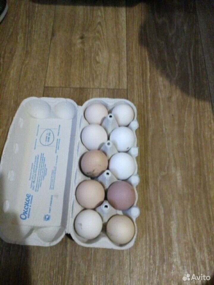 Домашние яйца купить на Зозу.ру - фотография № 3