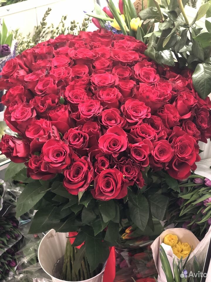 Цветы розы бесплатная доставка Всеволожск купить на Зозу.ру - фотография № 2