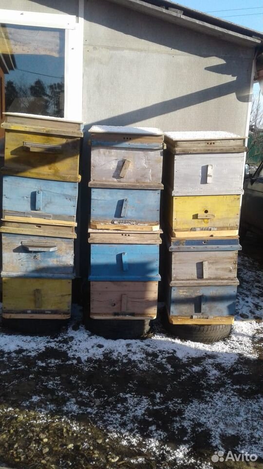 Продам пчеловодческие улья на 12 рамок купить на Зозу.ру - фотография № 1