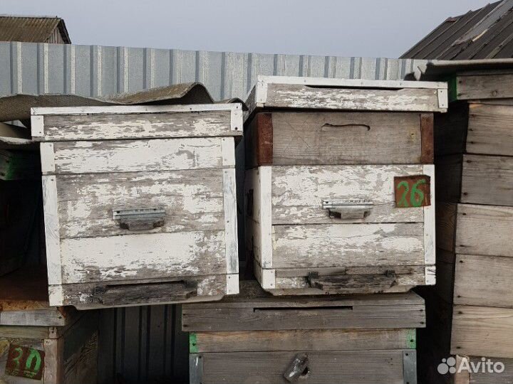 Ульи пчелиные 12 рамочные Дадан заводские купить на Зозу.ру - фотография № 1