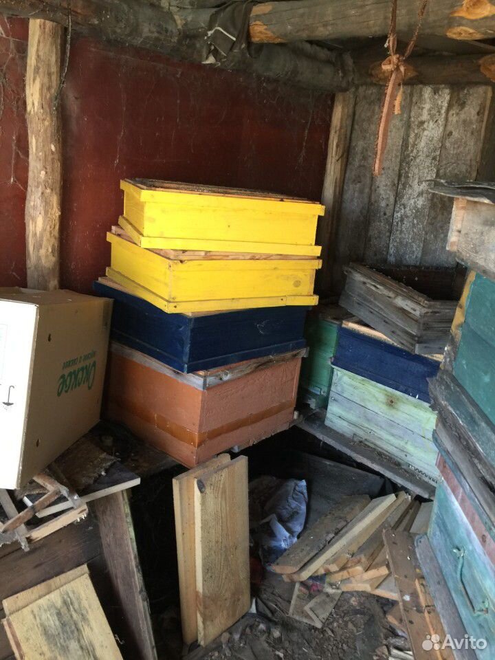 Продам ульи для пчёл, рамки купить на Зозу.ру - фотография № 2