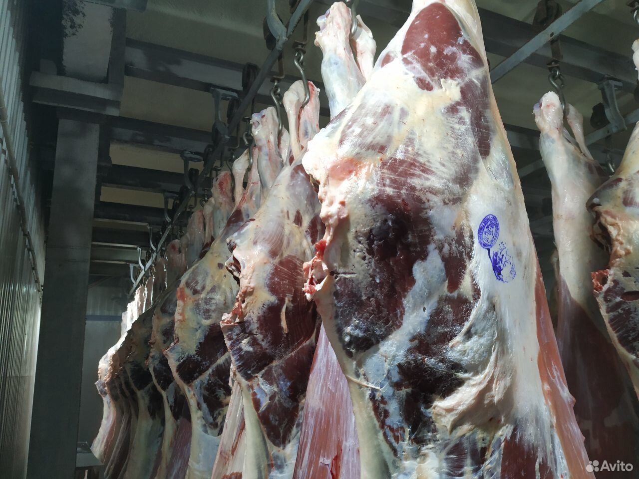 Мясо говядина в полутушах Халяль купить на Зозу.ру - фотография № 1