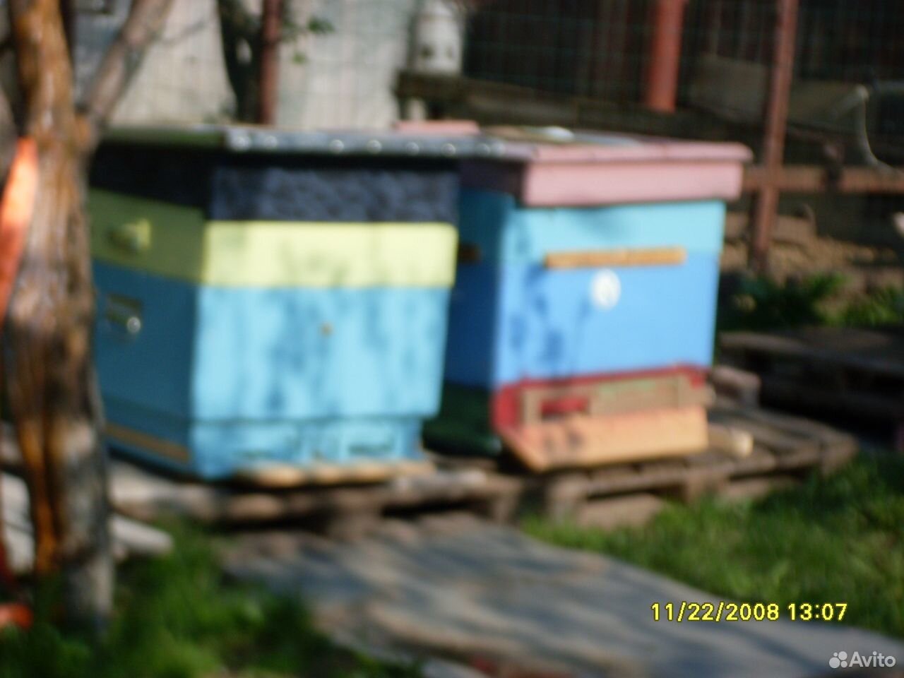 Пчёлы ульи ловушки купить на Зозу.ру - фотография № 5