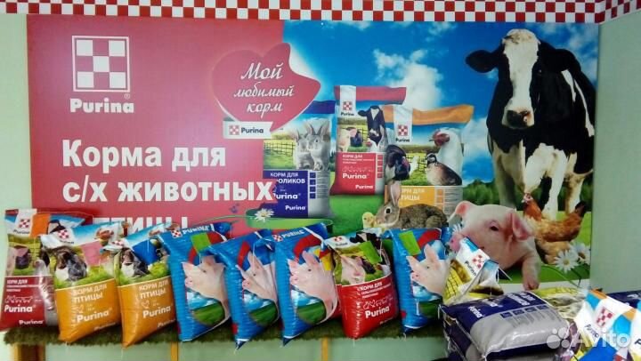 Комбикорма бройлеров пурина купить на Зозу.ру - фотография № 3