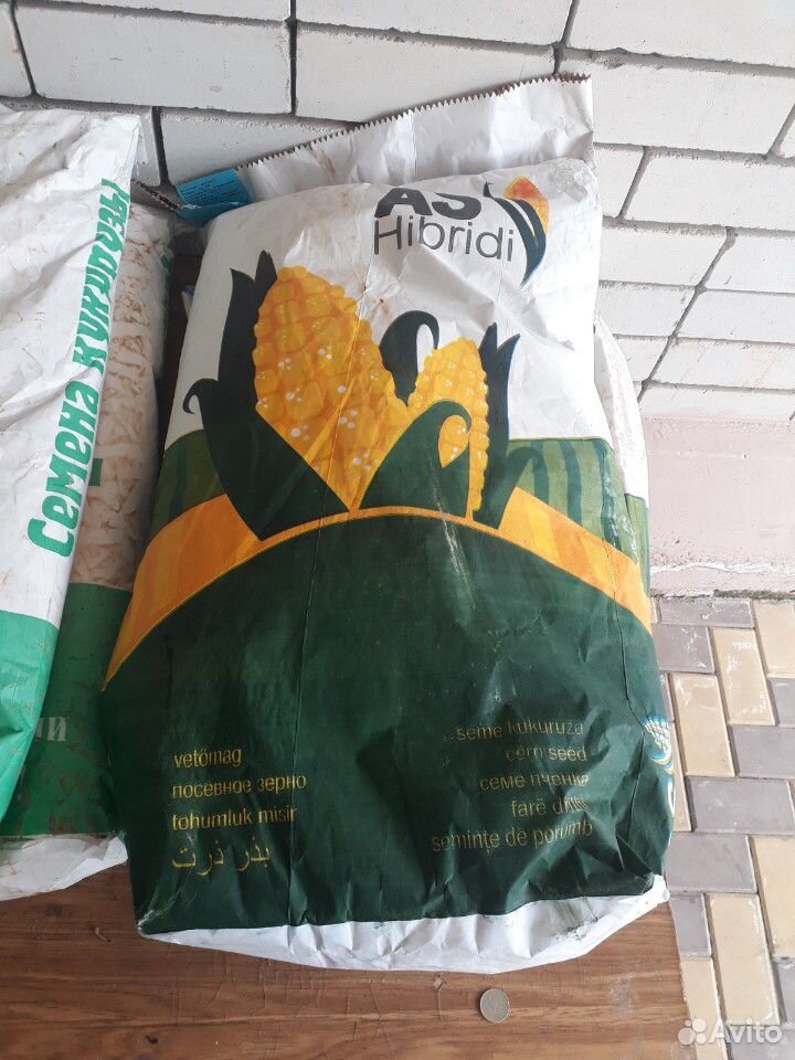 Кукуруза (семена) купить на Зозу.ру - фотография № 4