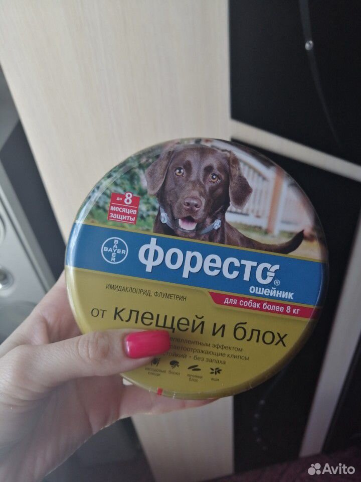 Продам совершенно новый ошейник для собак от клеще купить на Зозу.ру - фотография № 1