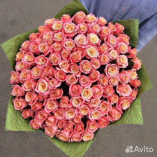 Букет из 101 Двухцветной розы Мисс Пигги купить на Зозу.ру - фотография № 1