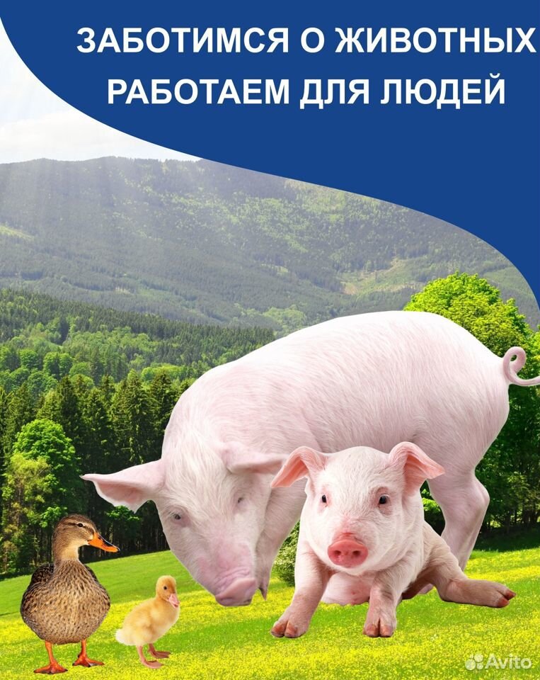 Корма для животных, комбикорма купить на Зозу.ру - фотография № 4