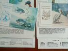 Советские открытки 60х разные объявление продам
