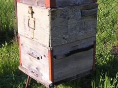 Продам пчёл,ульи и сушь