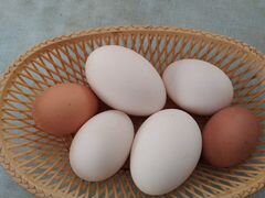Продажа яиц(гусинного,утинного) неинкубационных