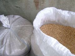 Пшеница, Ячмень, Кукуруза урожая19 года в мешках