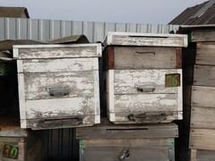 Ульи пчелиные 12 рамочные Дадан заводские