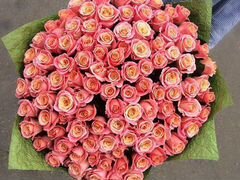 Букет из 101 Двухцветной розы Мисс Пигги