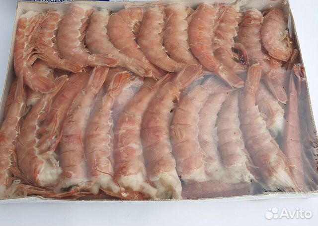 Лангустины С1 Аргентина