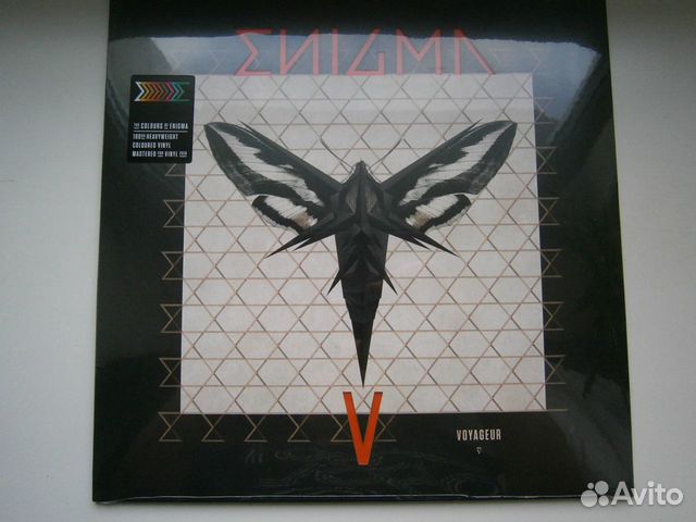 LP enigma (sealed color)