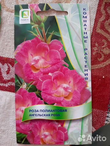 Семена красивоцветущих