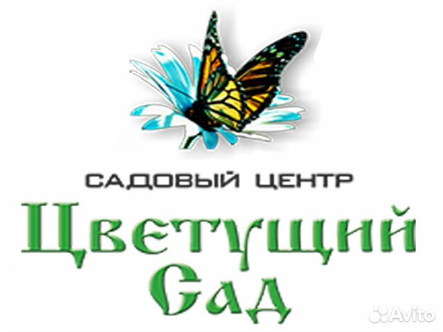 Продавец - консультант Цветущий Сад Троллейный жм