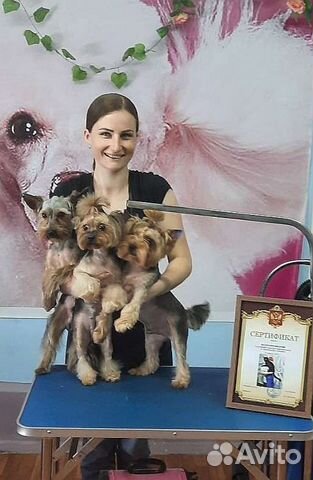 Стрижка собак и кошек