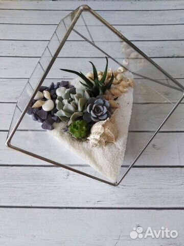 Суккуленты, флорариумы