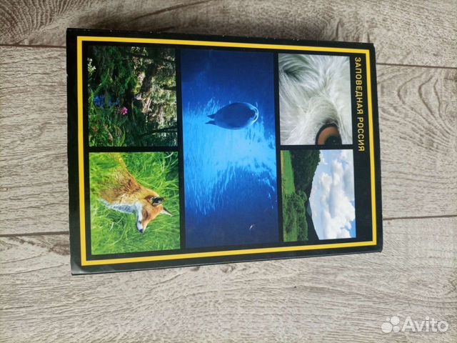 Диски видео заповедная природа россии