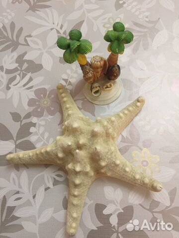 Сувенир Морская звезда и Пальмы из ракушек