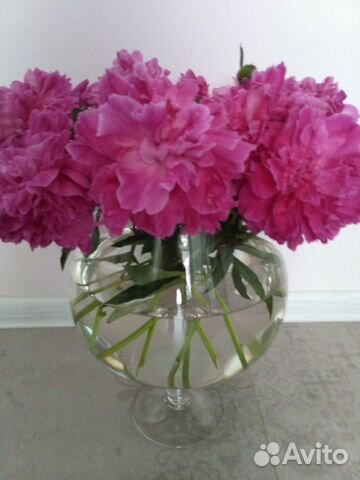 Ваза шар на ножке