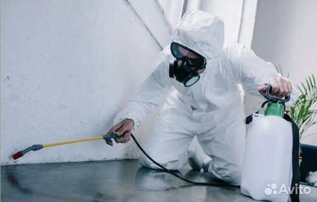 Уничтожение клопов тараканов блох клещей муравьёв