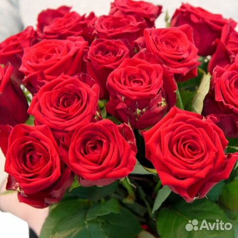 Розы.Букет Роз.Цветы в Кемерово