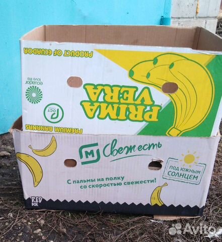 Банановый короб. Банановая коробка авито. Коробка от бананов. Коробки от бананов dole. Банановые коробки.