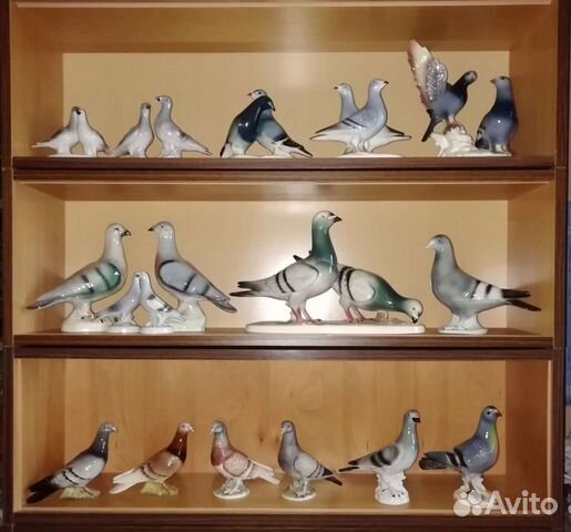 Почтовые Голуби. Большая коллекция