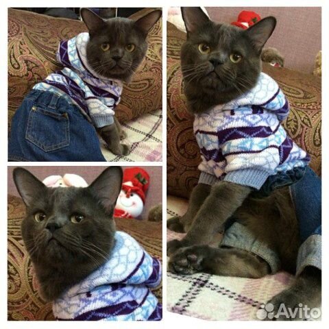 Костюм Костюм