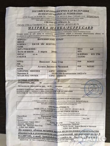 Вязка Вязка