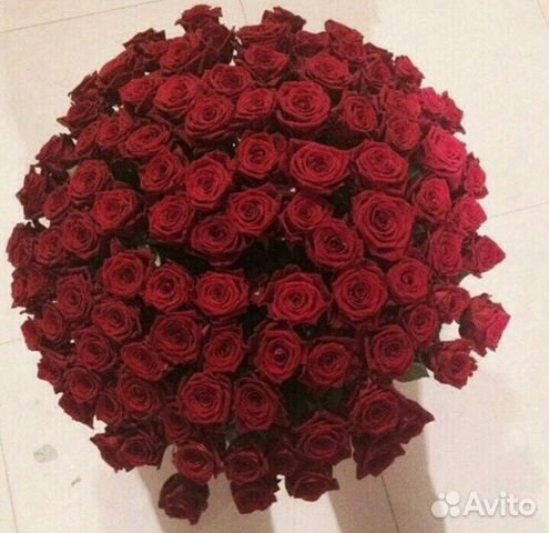 Букет из ярких красных роз, доставка 24ч Букет из ярких красных роз, доставка 24ч