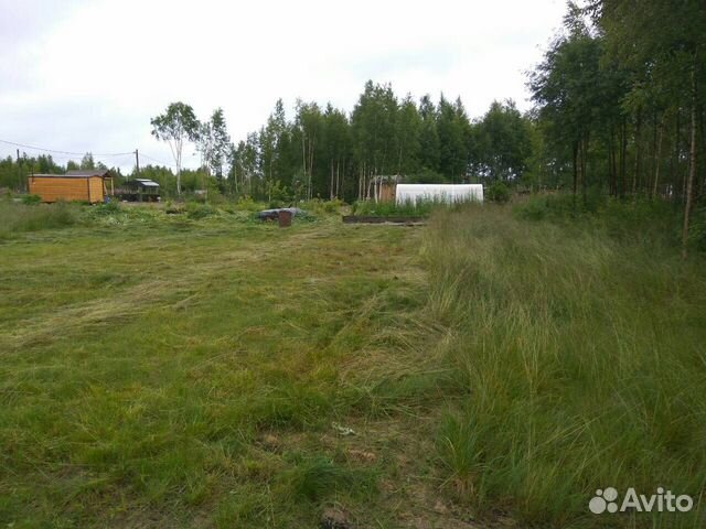 Дом 24 м² на участке 20 сот. Дом 24 м² на участке 20 сот.