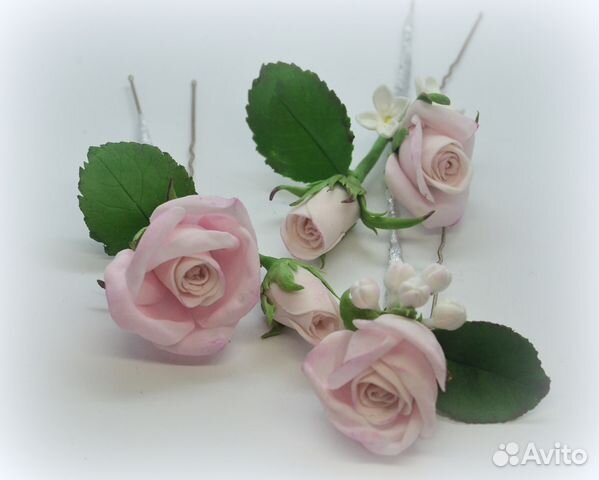 Нежные Розы Фото