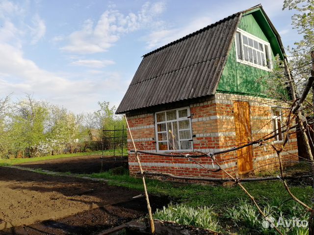 Авито Тамбов Фото