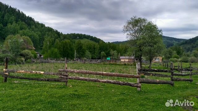 Авито горно алтайск. Село Бирюля Республика Алтай. Село Бирюля Майминский район Республика Алтай. Деревни Бирюля Алтай. Горно Алтайск село Бирюля.