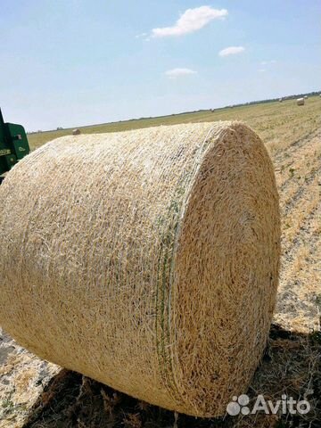 Гороховая, ячменная, пшенична солома, сено суданка купить на Зозу.ру - фотография № 1