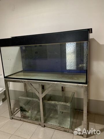 Продаётся морской аквариум 500 л, можно под пресны купить на Зозу.ру - фотография № 1