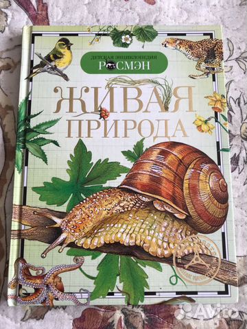 Книга Книга
