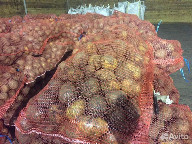 Картофель из деревни