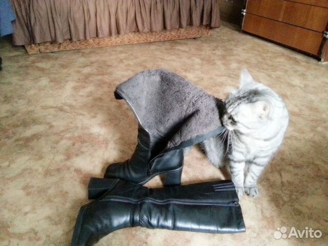 Сапоги женские зимние