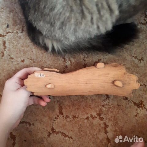 Каряга для аквариума