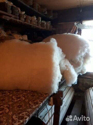 Продам мытую прочесаную шерсть мериноса овечья купить на Зозу.ру - фотография № 2