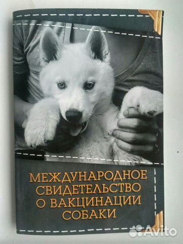 Продается пopoдистый щенок Сибирской хаски купить на Зозу.ру - фотография № 1