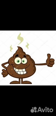 Навоз конский