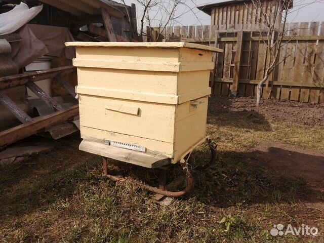 Продам улей и полный комплект пчеловода купить на Зозу.ру - фотография № 1